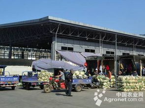 守护菜篮子安全 辽宁超半数蔬菜批发市场实施农残快速检测