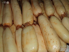 布吉农产品批发市场 深圳市民的菜篮子与食用农产品批发枢纽