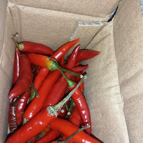 11月 2月 1月 4月 3月 6月 5月 8月 7月 10月 9月包装方式食用农产品